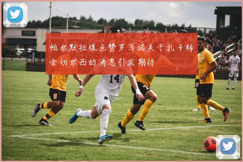 帕尔默社媒点赞罗马诺关于扎卡转会切尔西的消息引发期待
